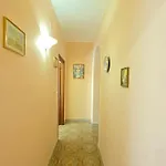 Elegant House *